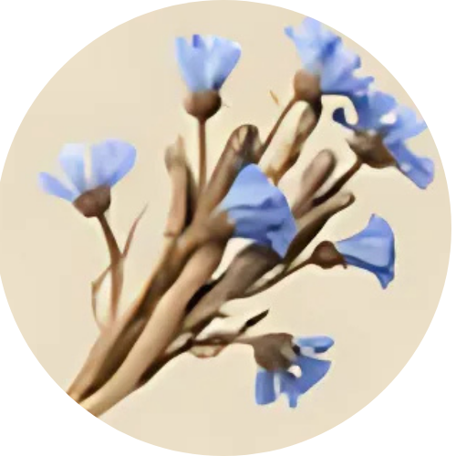 feature-item-3